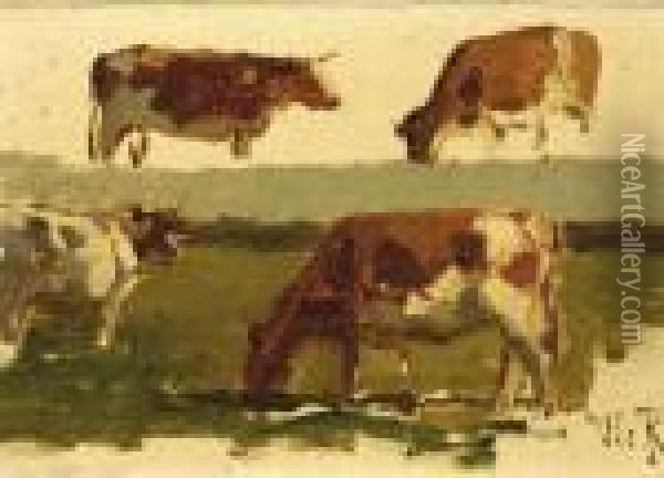A Sketch Of Cows Oil Painting - Willem Roelofs