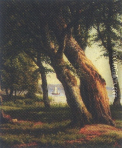 Skovparti Med So Og Sejlbad Oil Painting - Carsten Henrichsen
