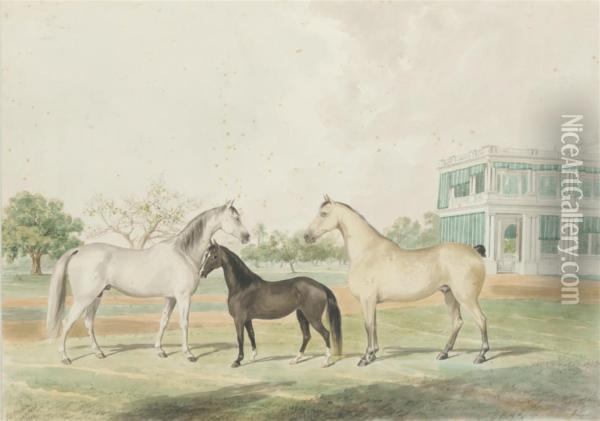Horses And A Foal Infront Of Government House, Madras Oil Painting - John Joseph Foncica