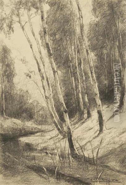 Birches Oil Painting - Csordak L Udovit
