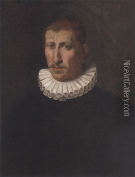 Portrait Of A Gentleman In A Black Doublet And A White Ruff Oil Painting - Sofonisba Anguissola