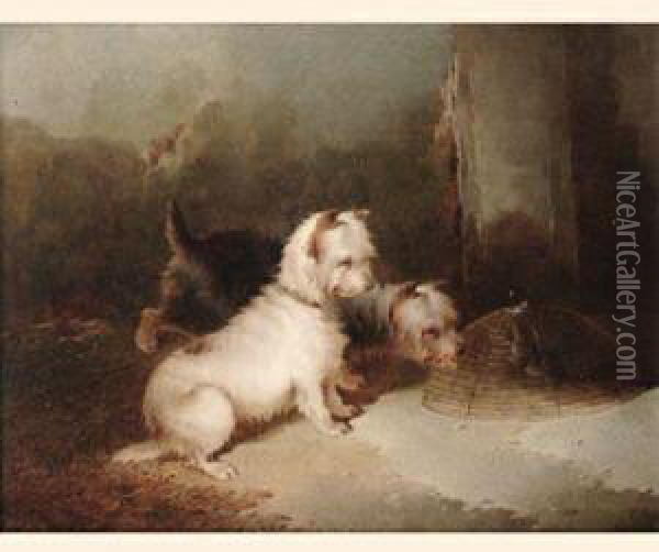 Terriers Oil Painting - Paul Jones