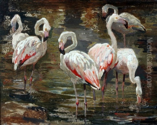 Flamingo's Oil Painting - Cornelis Jan Mension
