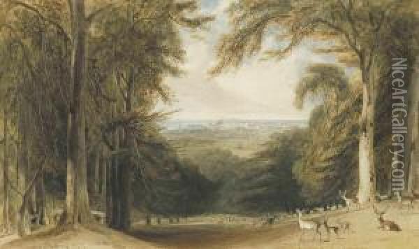 Deer In A Glen In Windsor Great Park Near Bishopsgate Oil Painting - William Daniell RA