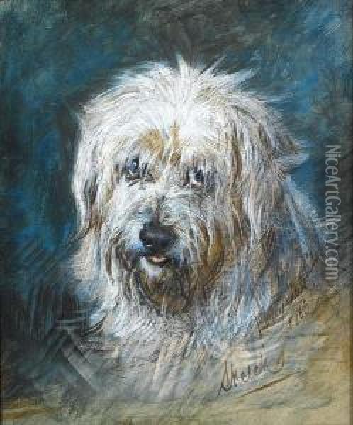 Sketch, A West Highland Terrier Oil Painting - Gourlay Steell