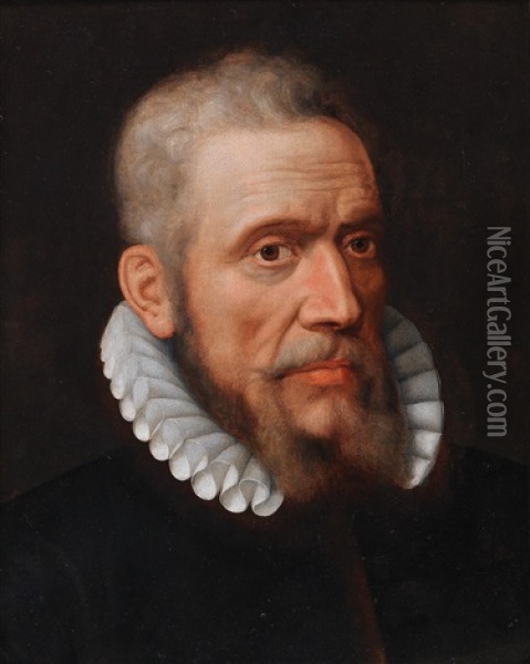 Portrait Of A Bearded Gentleman Oil Painting - Frans Pourbus the Elder