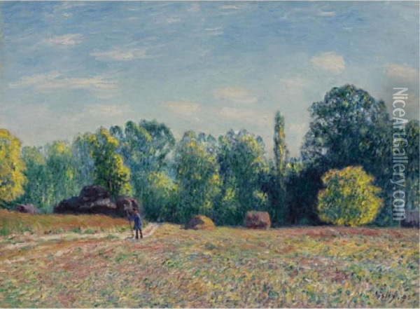 Lisiere De Foret Oil Painting - Alfred Sisley