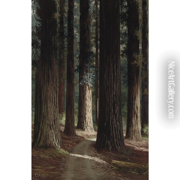 Forest Interior Oil Painting - Charles Theller Wilson