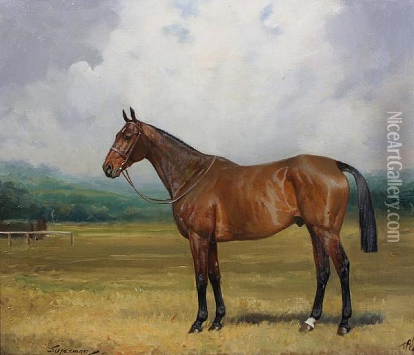 A Light Bay Hunter - 'superman' Oil Painting - Percy Earl
