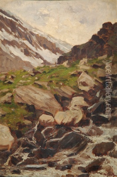 Alpe Veglia, Ghiacciaio Del Monte Leone Oil Painting - Napoleone (Luigi) Grady