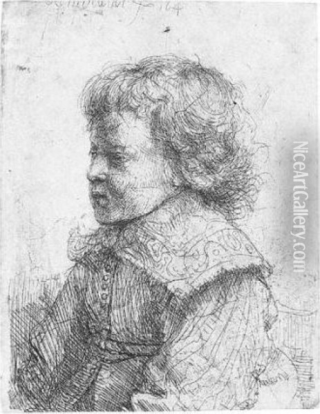 Portrait Of A Boy In Profile (b., Holl.310; H.188; Bb.41-k) Oil Painting - Rembrandt Van Rijn