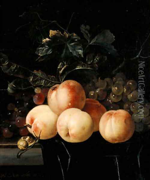Peaches And Grapes Oil Painting - Willem Van Aelst