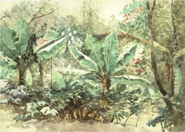 Banana Trees Oil Painting - August Lohr