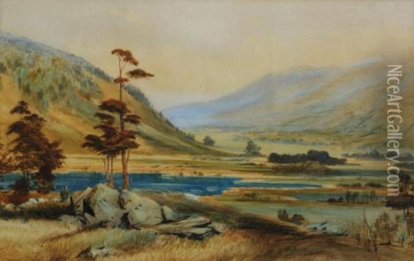 Landscape Near Nelson Oil Painting - John Gully