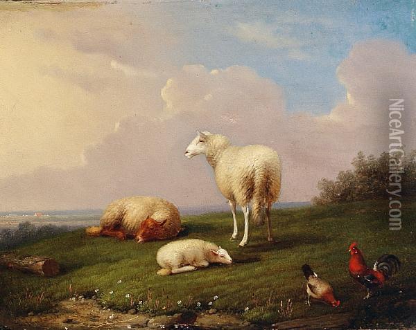 Sheep And Chickens Oil Painting - Franz van Severdonck