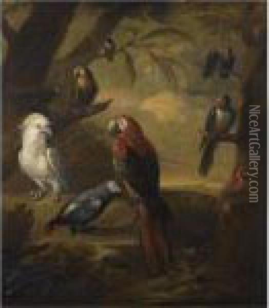 Exotic Birds In An Extensive Woodland Landscape Oil Painting - Tobias Stranover