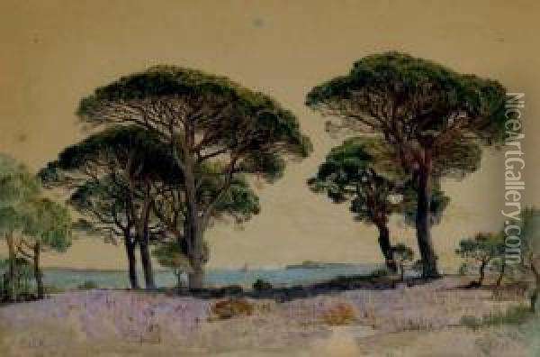 Study After The Landscape Of Cannes Oil Painting - William Stanley Haseltine