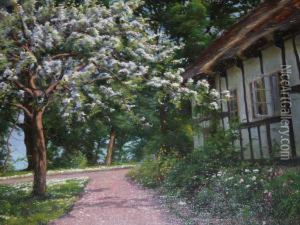 A Cottage Garden In Springtime Oil Painting - Sigvard Hansen