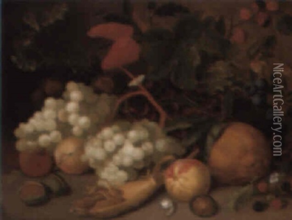 Still Life With Fruit, A Snail, Caterpillar And Butterfly Oil Painting - Joseph Rhodes
