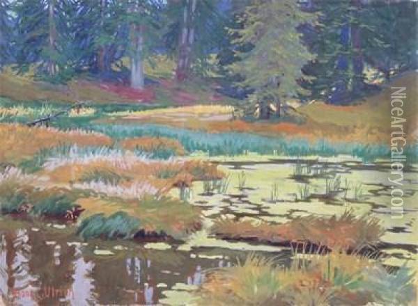 A Woodland Stream Oil Painting - Hans Casper Ulrich