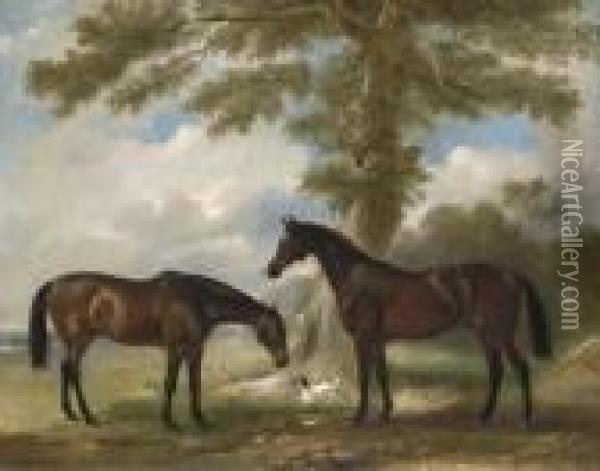 Two Bay Mares With A Terrier By A Tree, In A Landscape Oil Painting - John Snr Ferneley
