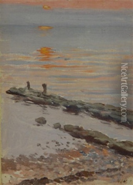 Sonnenuntergang An Der Ostsee Oil Painting - Michael Gorstkin-Wywiorski