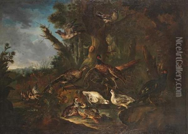 A Wooded Landscape With French Partridges,jays, Pheasants And Woodcocks Oil Painting - Il Crivellino Giovanni Crivelli