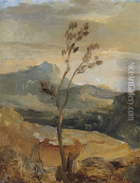 Paysage D'auvergne (?) Oil Painting - Theodore Rousseau