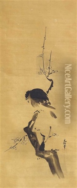 Minah-vogel Auf Einem Pflaumenblutenzweig Oil Painting - Kano Gensen