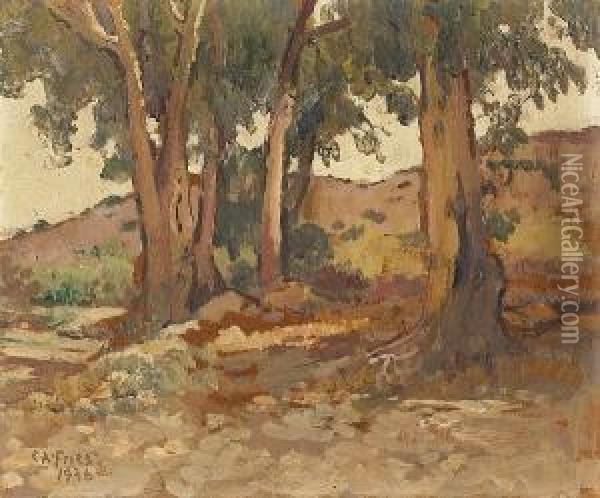 Eucalyptus In North Cholla Valley Oil Painting - Charles Arthur Fries