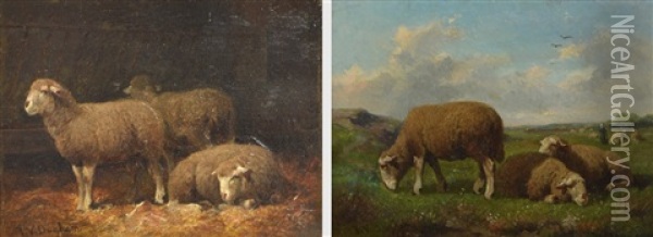 A Pair Of Oils On Panel, Interior And Outside Sheep Studies Oil Painting - Joseph van Diegham
