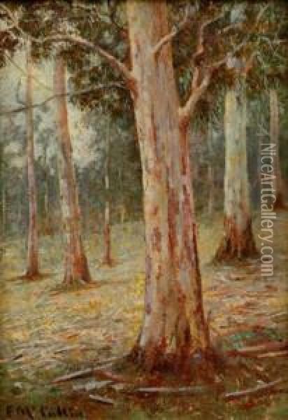 Tall Gums Oil Painting - Frederick McCubbin