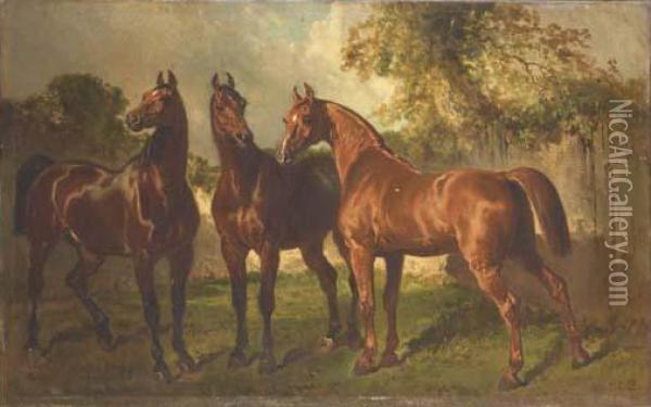 Trois Chevaux Dans Un Sous-bois Oil Painting - Alfred De Dreux