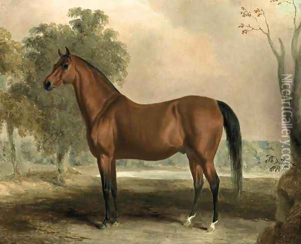 Bertrand, by Sir Archy 1830s Oil Painting - Edward Troye