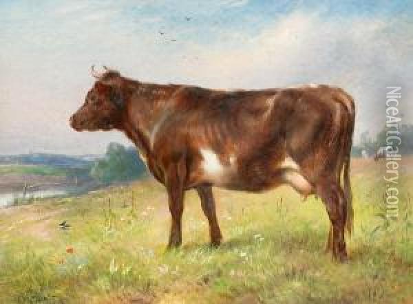 Study Of A Cow Oil Painting - Walter Hunt