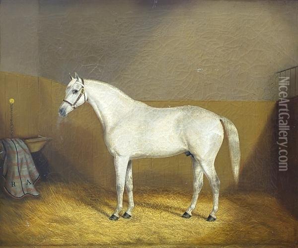 A Grey Hunter In A Loose Box Oil Painting - A. Clark