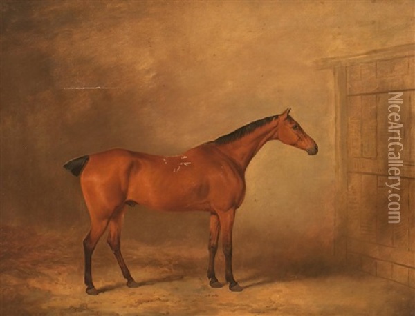 Caballo Oil Painting - James Barenger the Younger
