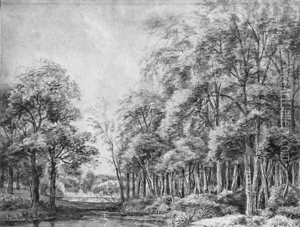 A pond on the margin of a wood, with buildings by a pool beyond Oil Painting - Anthonie Waterloo