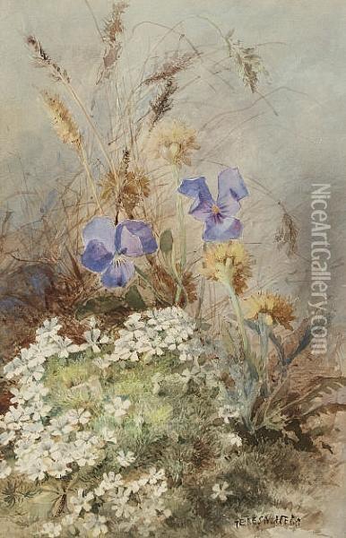 Study Of Wild Flowers Oil Painting - Maria Teresa Hegg
