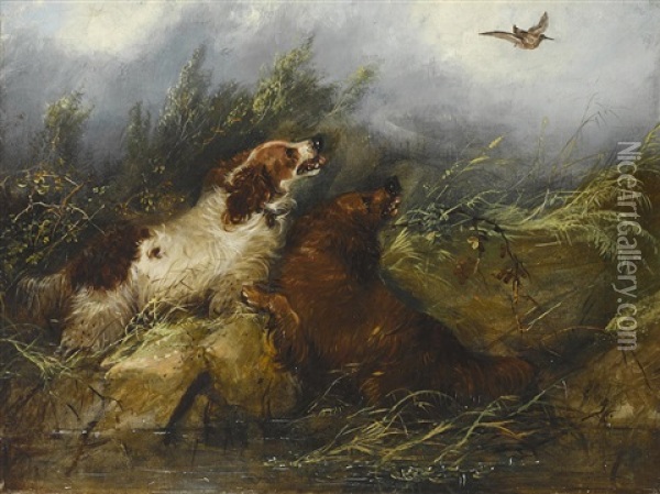 Spaniels Flushing A Bird Oil Painting - George Armfield