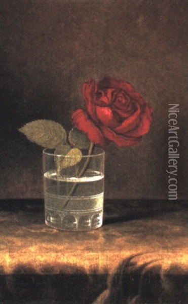 A Red Rose Oil Painting - Martin Johnson Heade