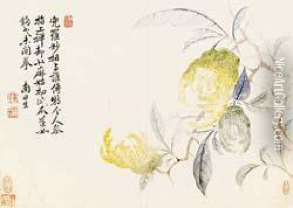 Flower Oil Painting - Yun Shouping