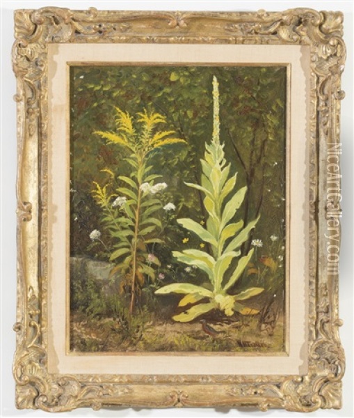 Wildflowers Oil Painting - Newbold Hough Trotter