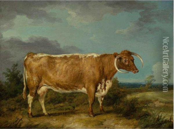 Longhorn Cow Oil Painting - James Ward