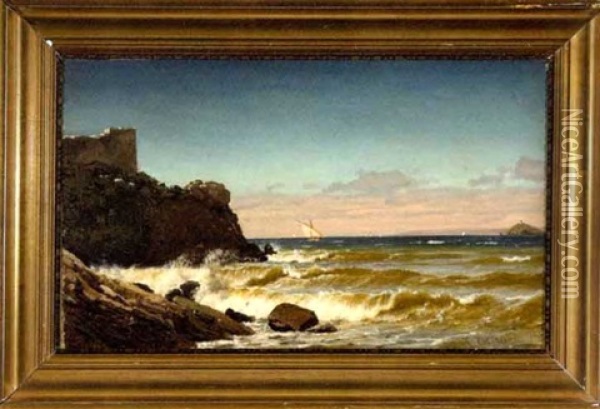 Ships Off The Rocky Coast Oil Painting - Christian Frederic Eckardt