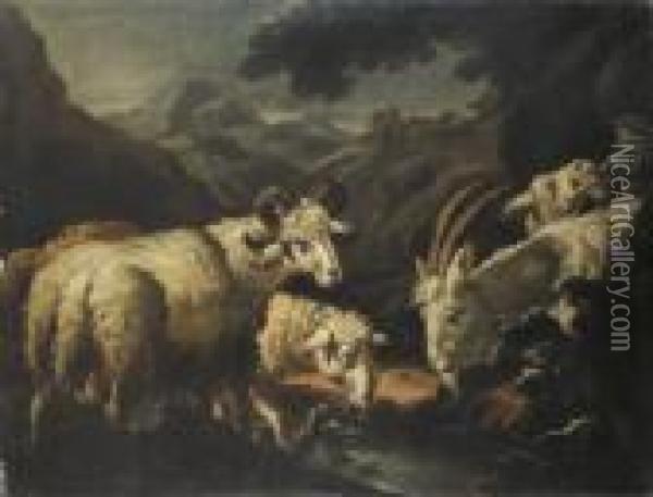 A Mountainous Wooded Landscape With A Ram, Ewe, Billy Goat And A Nanny Goat At A Stream Oil Painting - Philipp Peter Roos