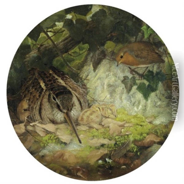 A Woodcock With Its Young And A Robin Oil Painting - Josef Wolf