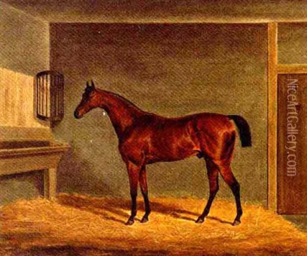 A Bay Racehorse In A Stable Oil Painting - James (of Bath) Loder