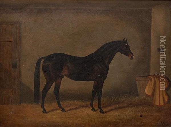 Portrait Of A Bay, In A Stable Interior Oil Painting - Edwin (of Bath) Loder