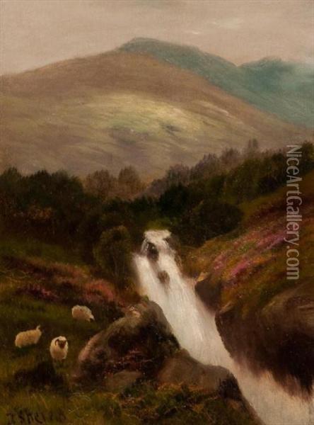 Highland Burn With Sheep Oil Painting - Daniel Sherrin